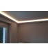 Beispiel 2 - BENDU LED-Stuckleiste WDKL-55A-ST
