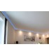 Beispiel BENDU LED-Stuckleiste WDML-200B-LED-PR