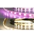 RGB+WW LED Band mit 19,0 Watt je Meter bei 24 Volt, IP20