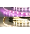 RGB+WW LED Band mit 19,0 Watt je Meter bei 24 Volt, IP20