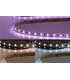 LED RGB+CCT-Stripe 5in1 color + whitedynamic, 20W/m, 24V, IP20